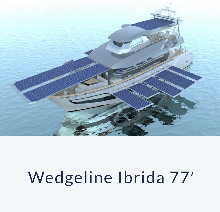 77 ibrida